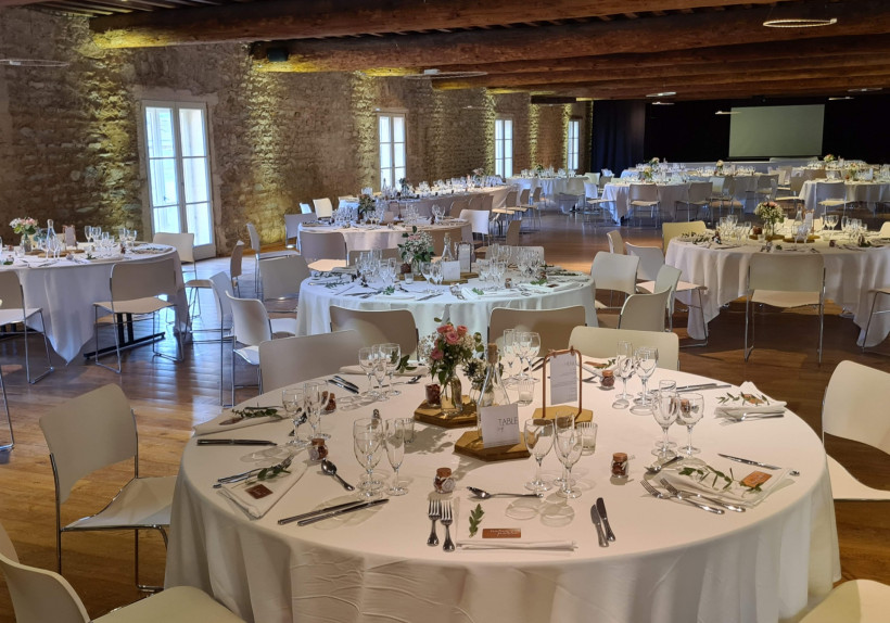 Dj mariage animation domaine de la croix roche fort, DJ mariage saint didier au beaujeau